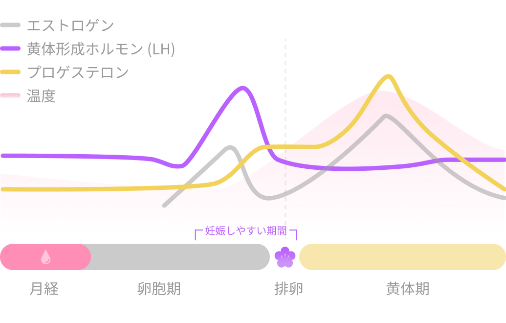 How-ovulation-date-estimation-works.png