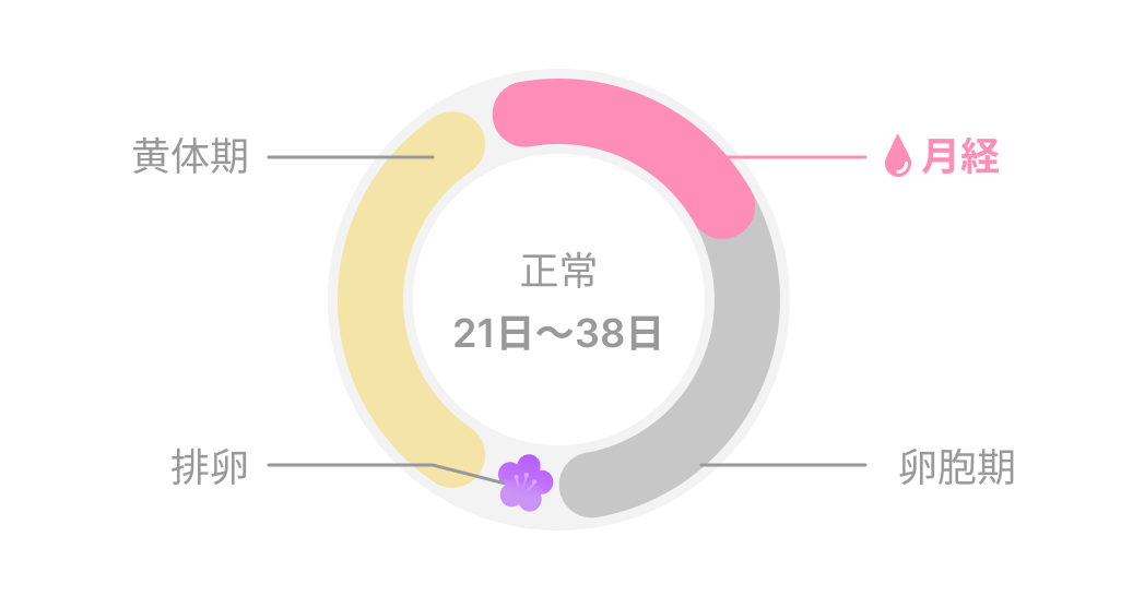 cycle.png